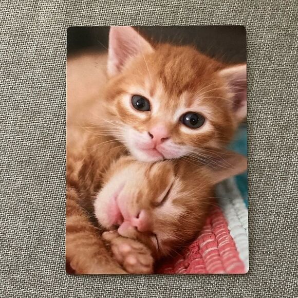 Cute Kittens Magnet  *2/12$ - Picture 3 of 3